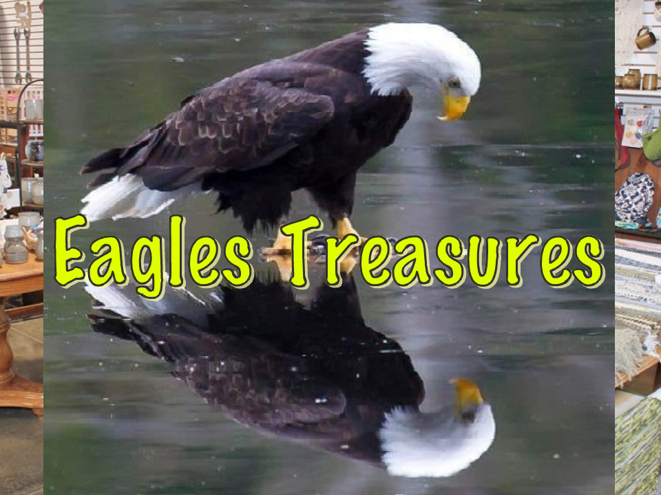 Eagles Treasures in Weston WV